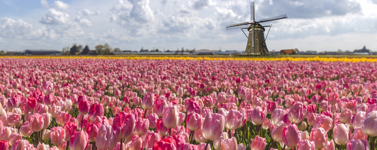 Netherlands