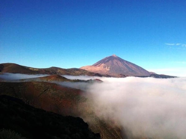 Volcanic Landscapes - Tenerife Full Day