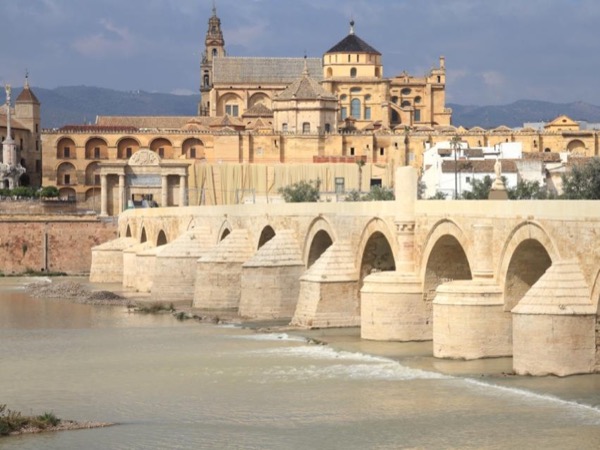 Cordoba Half Day Private Guided Tour