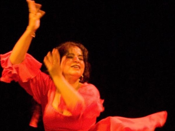 Flamenco History night private tour