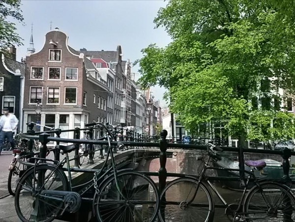 Amsterdam & Surroundings Private Tour