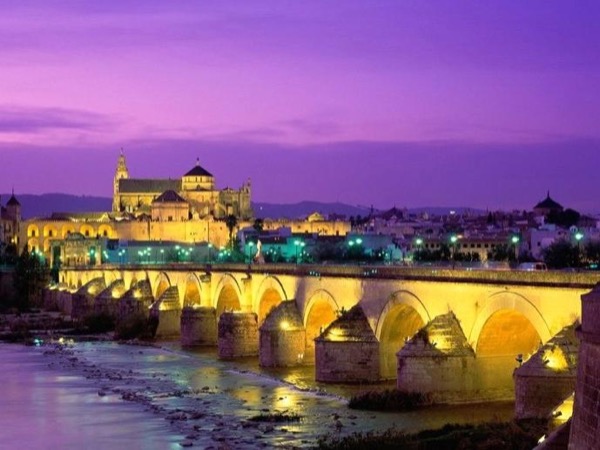 Cordoba Half Day Private Tour