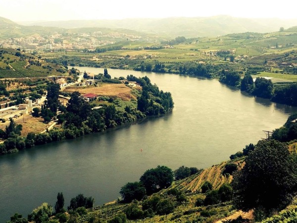 Best of Douro Valley Wine Full Day Private Tour