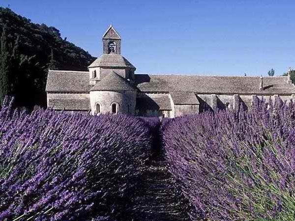 Provence mon Amour - Tailor made tour