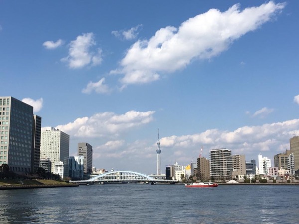 Tokyo in a Day - A First Time Visitor Tour