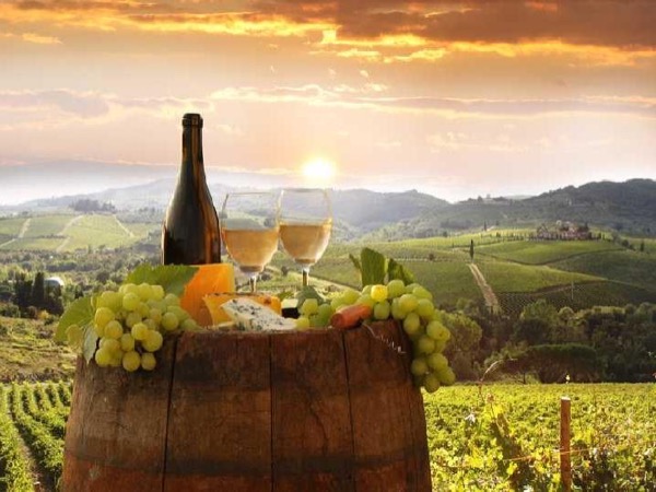 Chianti Wine Tour - Full day tour leaving from Florence and surroundings.