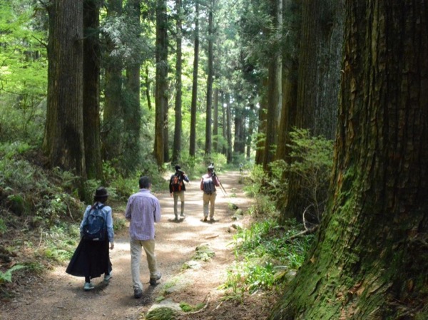 Full Day Tour Hiking Hakone Hachiri