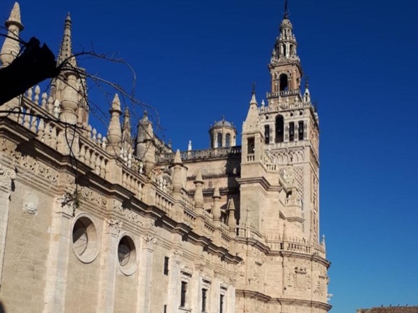 Sevilla Highlights Half Day Private Guided Tour