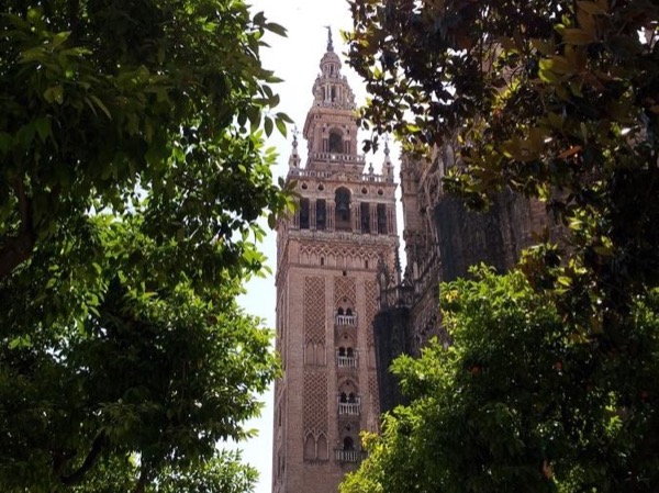 Highlights of Seville. Half-day tour