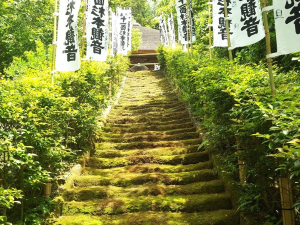 Private 6hr visiting Kamakura Historic place Tour