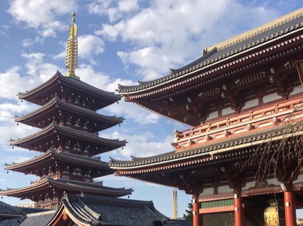 Tokyo Full Day Personalized Private Tour 7 hours