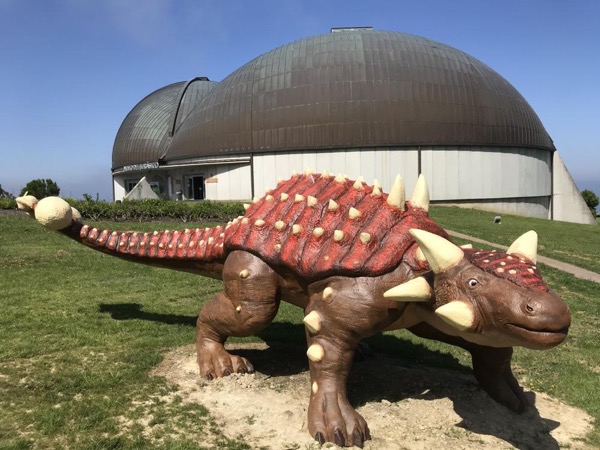 Back to the Prehistory in Asturias: Tito Bustillo Cave and Jurassic Coast Tour