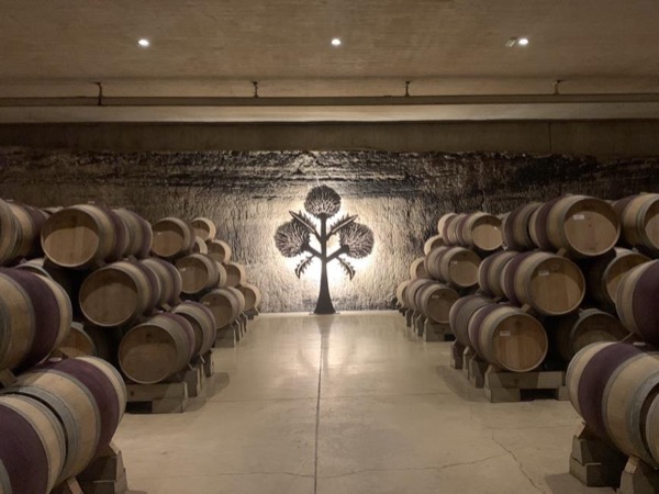 Wine tour to Rioja from San Sebastian