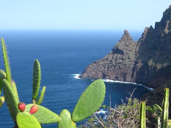 Visit the Anaga Mountains on a Half-Day Shore Excursion