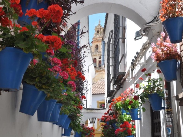 Exploring Cordoba in a Private Tour