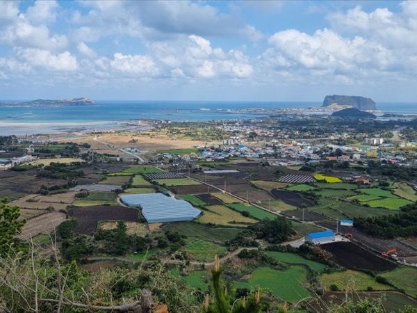 Hightlights of Jeju - Multi Day Tour for 2 days