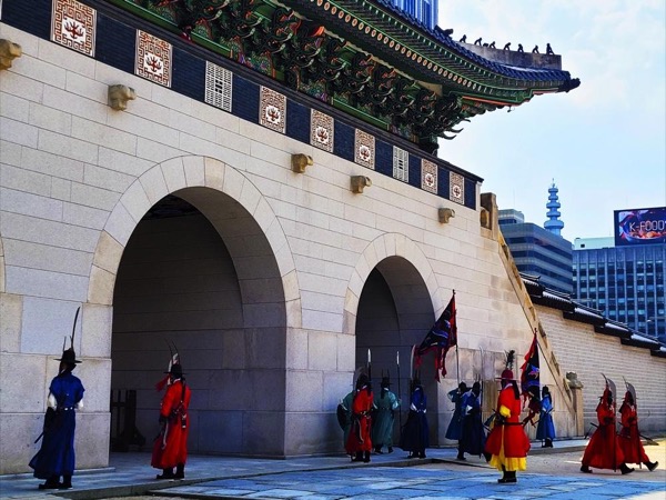 (3hrs) Gyeongbokgung palace & Seoul highlights walking tour