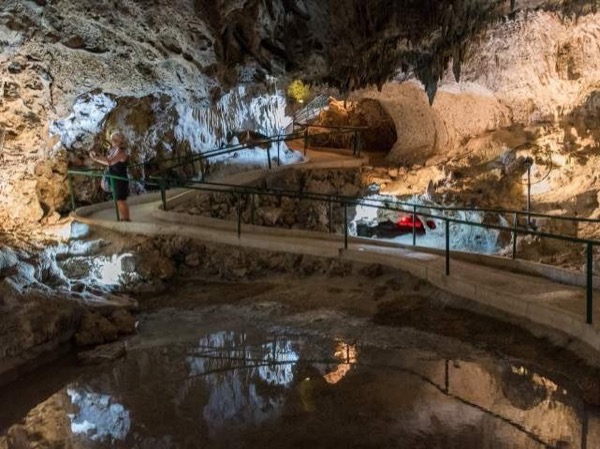 Cave and Blowholes Tour