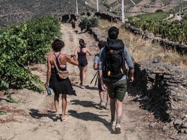 Half Day Douro Valley Walk and Picnic Lunch Tour