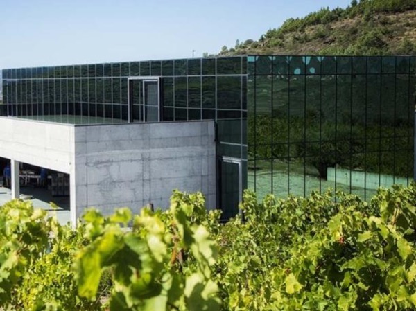 Full Day Douro Valley Wine Tour