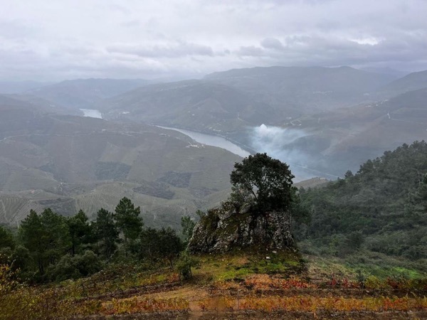 Douro Superior Wine Tour