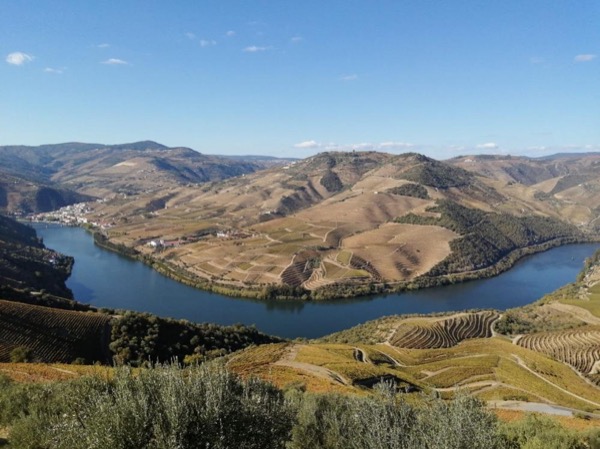 Hiking Through Douro Valley Wine Region for Half Day Tour