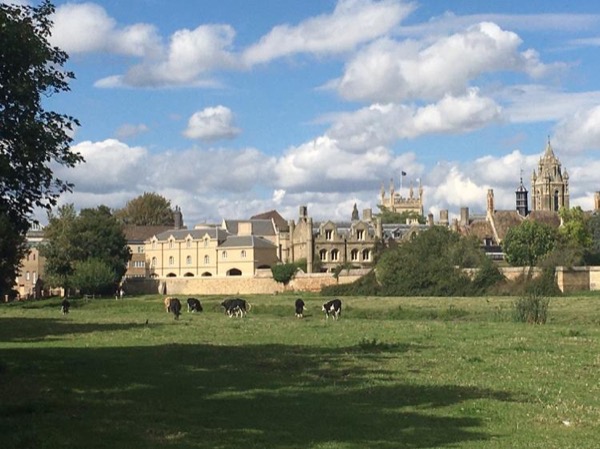 Cambridge University Full Day Tour with a Cambridge University Graduate and Tour Guide and river boat ride (punt)