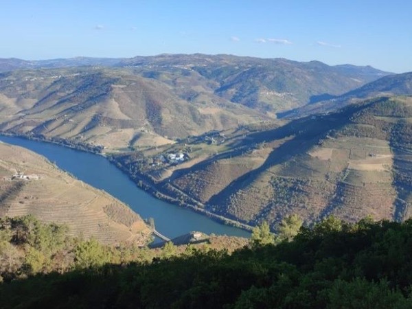 Full-Day Private Tour of Douro Valley Highlights