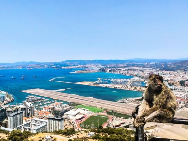 Day-trip to Gibraltar from Sevilla (all-inclusive)