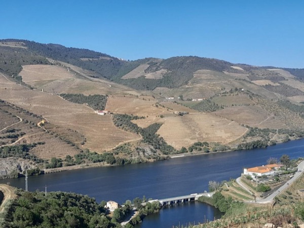 Private Excursion in Douro Valley: Wine, Food & Viewpoints