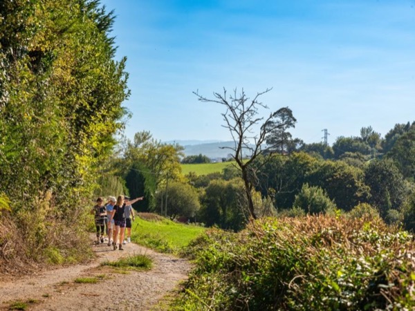 A Taste of the Camino de Santiago: Guided Hiking tour