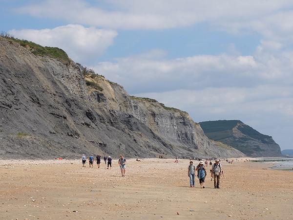 Jurassic Coast Experience Tour